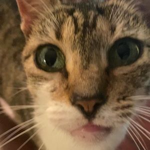 Meet your Posher, Ruben